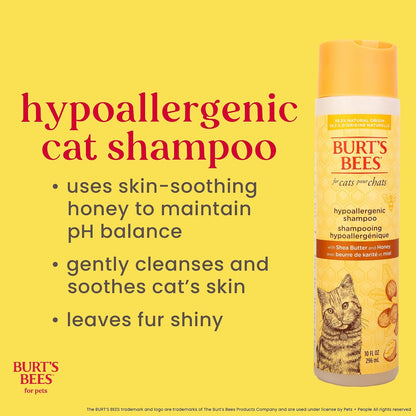 Burts Bees for Pets Hypoallergenic Cat Shampoo, Unscented, 10 Fl Oz, 2-Pk | Gentle Shea Butter and Honey Formula for Indoor Cats with Dry or Sensitive Skin, Ph Balanced