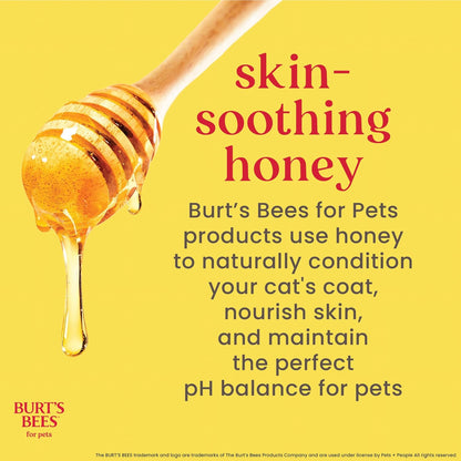 Burts Bees for Pets Hypoallergenic Cat Shampoo, Unscented, 10 Fl Oz, 2-Pk | Gentle Shea Butter and Honey Formula for Indoor Cats with Dry or Sensitive Skin, Ph Balanced