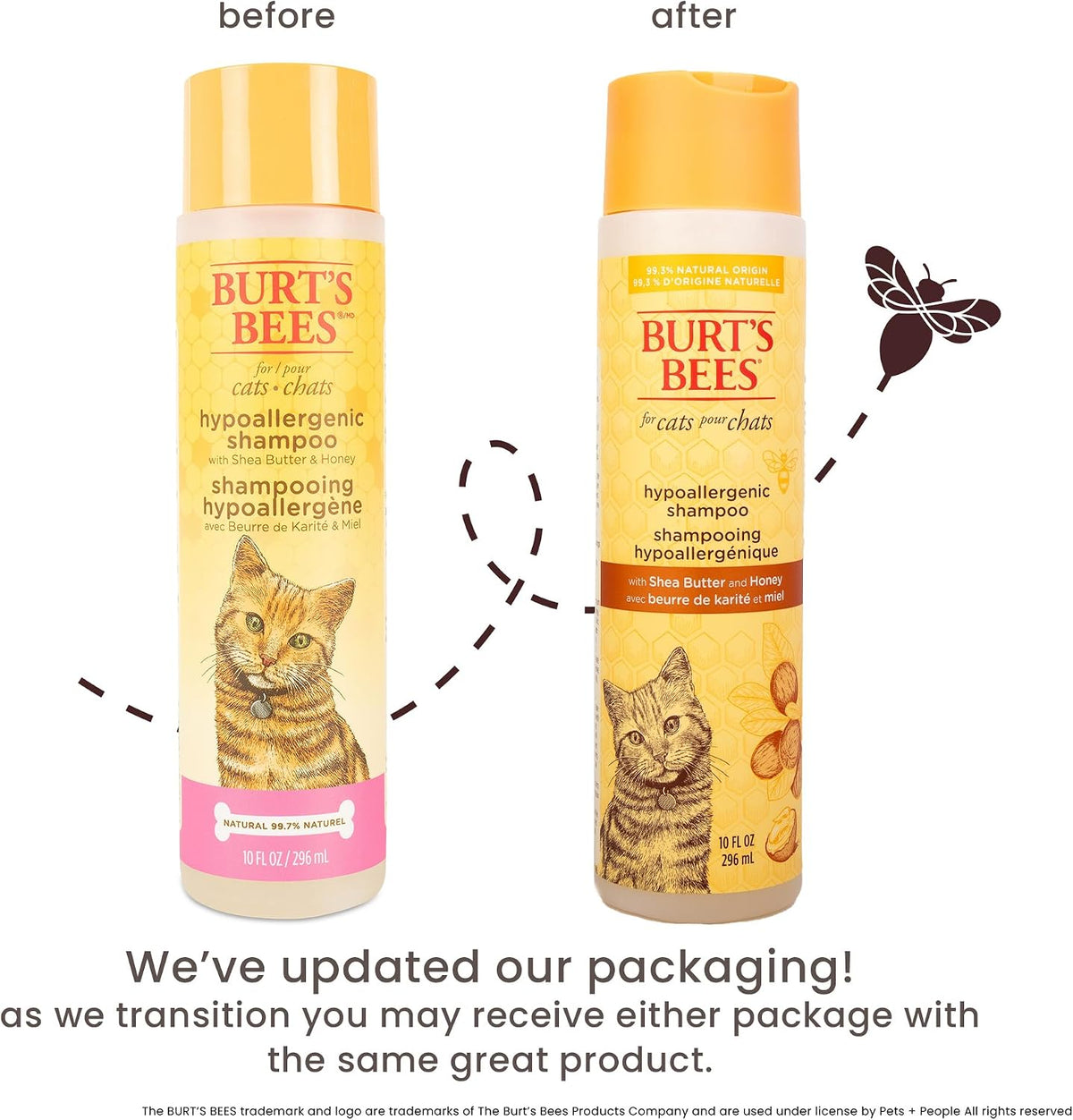 Burts Bees for Pets Hypoallergenic Cat Shampoo, Unscented, 10 Fl Oz, 2-Pk | Gentle Shea Butter and Honey Formula for Indoor Cats with Dry or Sensitive Skin, Ph Balanced