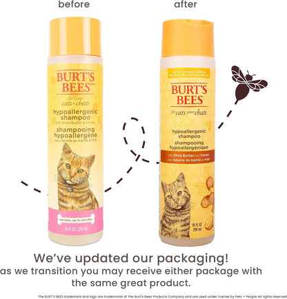 Burts Bees for Pets Hypoallergenic Cat Shampoo, Unscented, 10 Fl Oz, 2-Pk | Gentle Shea Butter and Honey Formula for Indoor Cats with Dry or Sensitive Skin, Ph Balanced
