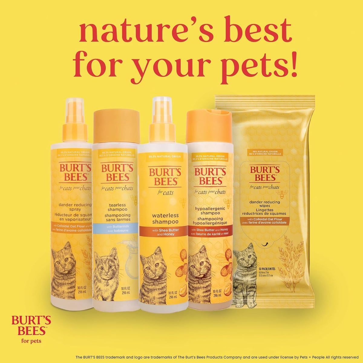 Burts Bees for Pets Hypoallergenic Cat Shampoo, Unscented, 10 Fl Oz, 2-Pk | Gentle Shea Butter and Honey Formula for Indoor Cats with Dry or Sensitive Skin, Ph Balanced