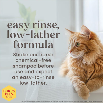 Burts Bees for Pets Hypoallergenic Cat Shampoo, Unscented, 10 Fl Oz, 2-Pk | Gentle Shea Butter and Honey Formula for Indoor Cats with Dry or Sensitive Skin, Ph Balanced